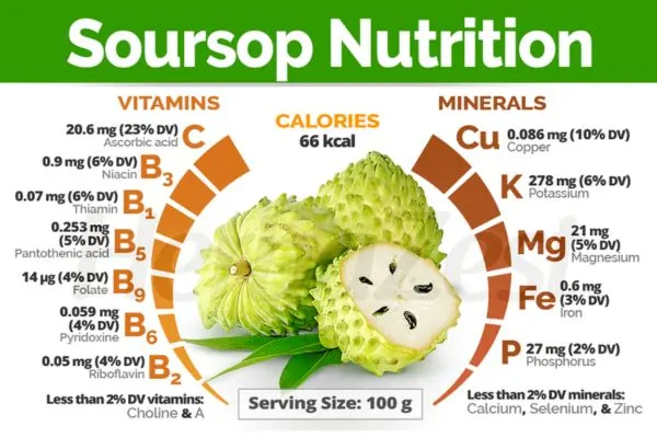 When Do Soursop Juice And Smoothies Need To Be Taken?