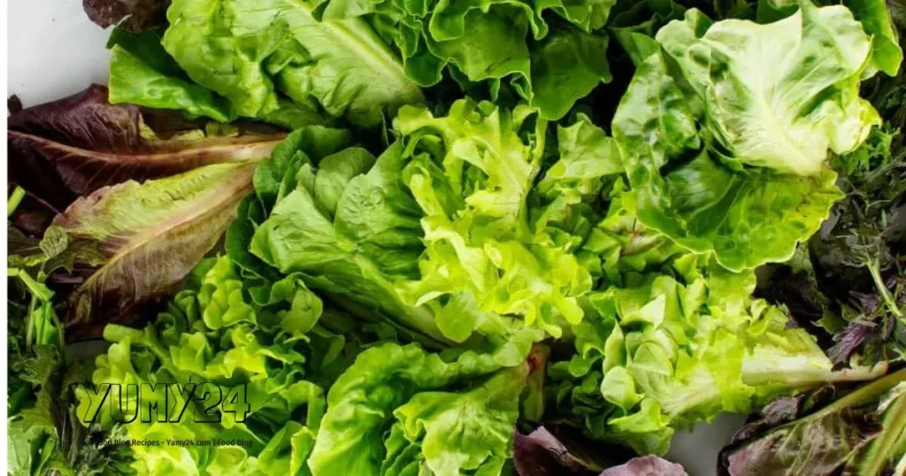 Green Salad- A Fresh, Nutritious, and Healthy Meal 2024