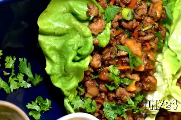 Chicken Lettuce Wraps with Peanut Sauce Healthy Recipe 2024